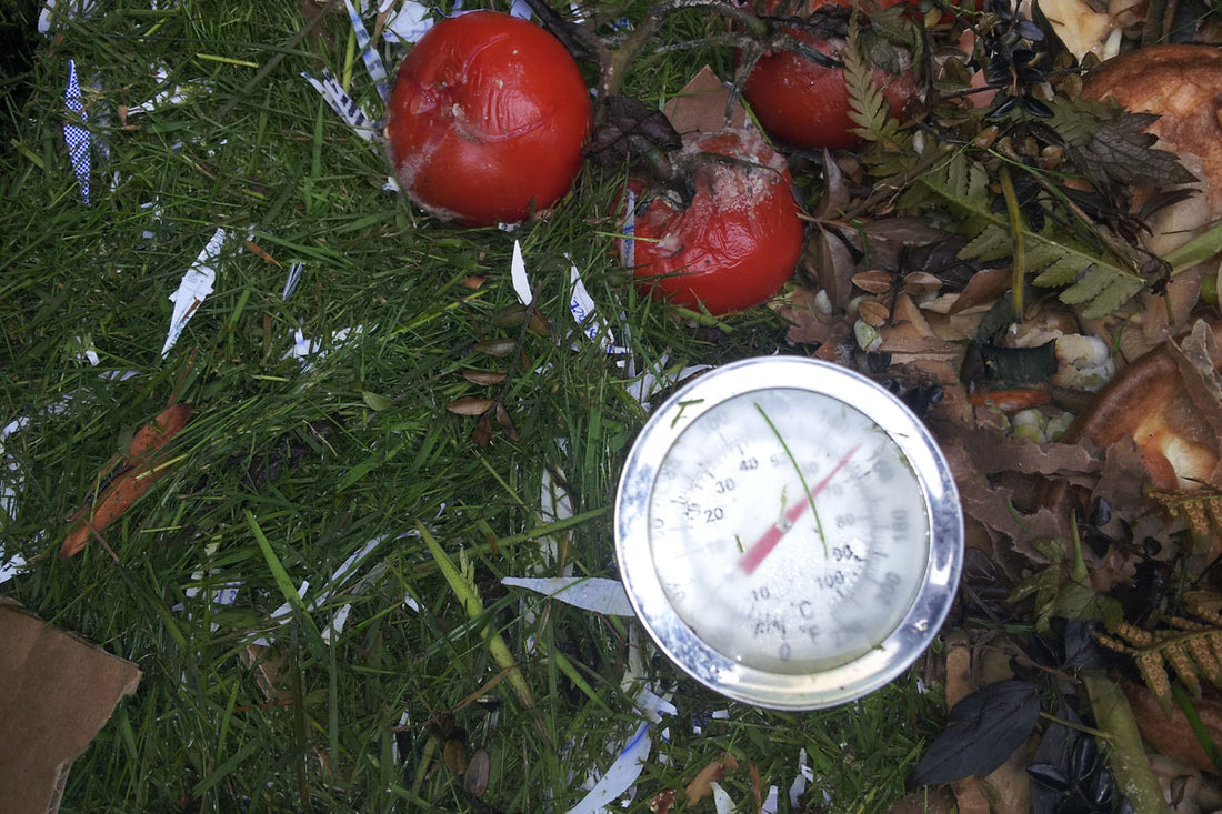 Can I Compost Grass?