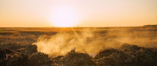 Could the Compost Heap Catch Fire?